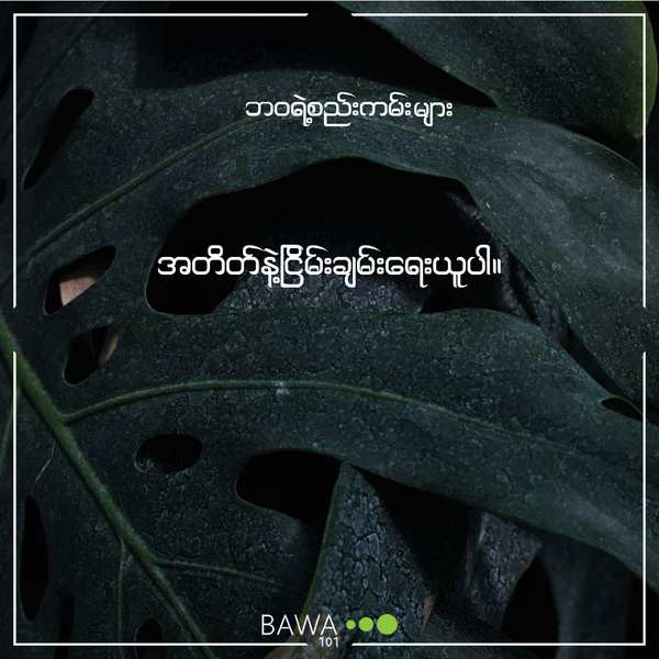 စွမ်းရည်, ပျော်ရွှင်သောဘဝ, လူနေမှုဘဝ, စိတ်ဓာတ်ခွန်အား
