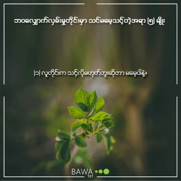 Energy, Happy Life, Life, Encouragements